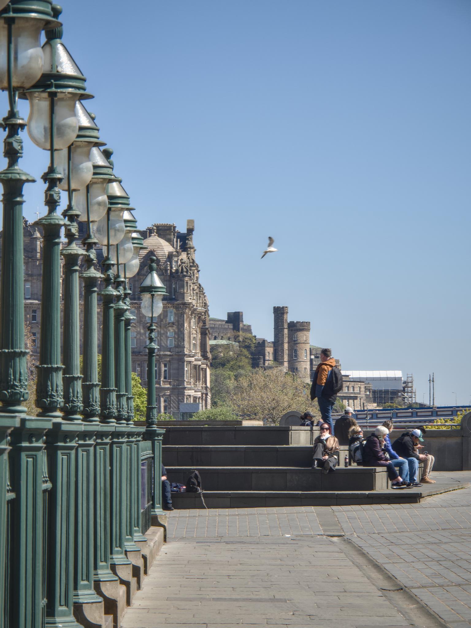 Tourists gather on the steps at the Mound, Edinburgh, looking towards Calton Hill, while a seagull swoops overhead 